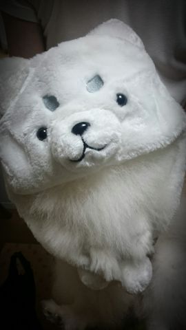 どちら様？