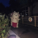 待っててね～今行くよ～