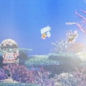 水槽にしっぺいちゃんが…(゜ﾛ