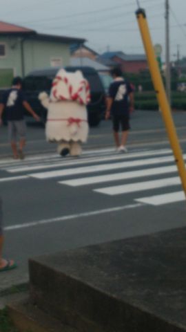 横断中