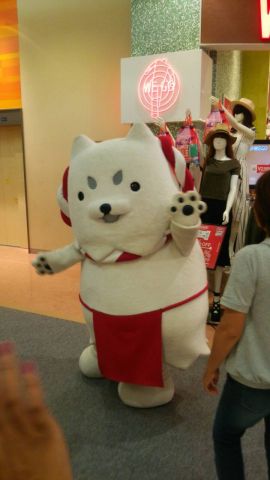 またまた♪