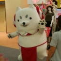 またまた♪