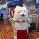 ららぽーとにて