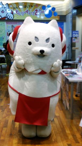 行っちゃいましたが…