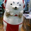 行っちゃいましたが…