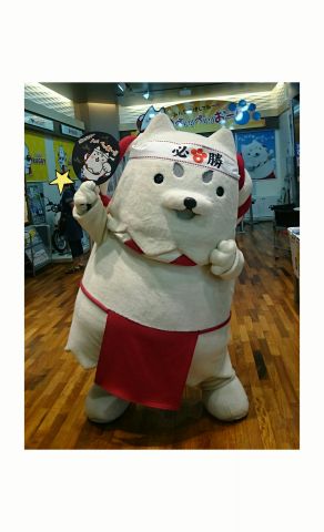 今日から投票はじまったよ！