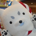ららぽーとにて