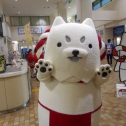 市役所にて