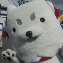 ヤマハスタジアムにて
