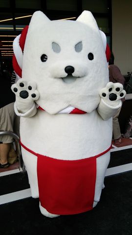 いちだんと白さが輝いていました