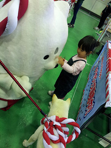 ドッグフェスタ