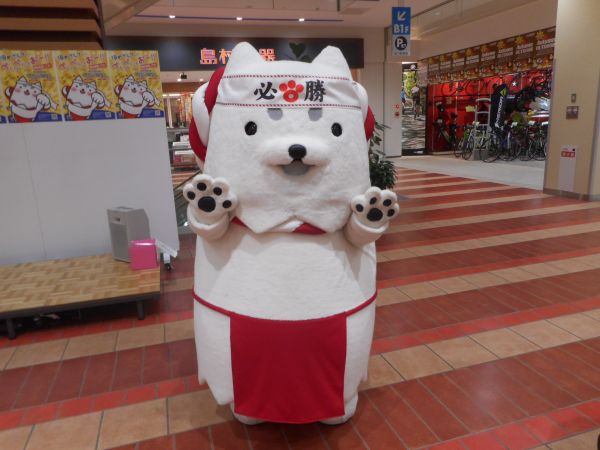 ららぽーとにて