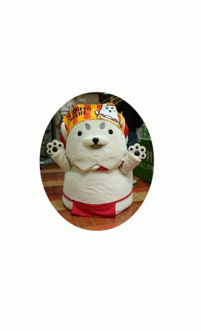 ららぽーとにて