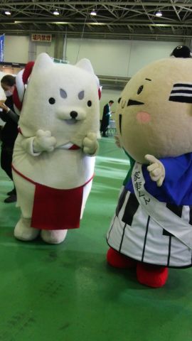 家康くんと