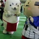 家康くんと