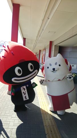 テレビにしっぺいが…