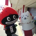 テレビにしっぺいが…