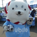 ヤマハスタジアムにて