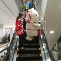アピタ