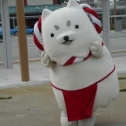 いわたお寺巡り