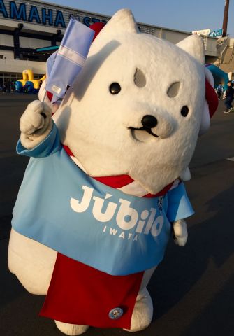 ヤマハスタジアムにて