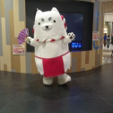 アピタ