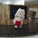 アピタ