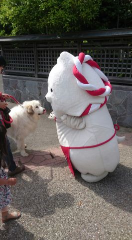 長藤まつり