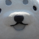 軽トラ市にて
