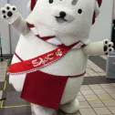 横浜に行ったらしっぺいが居た！