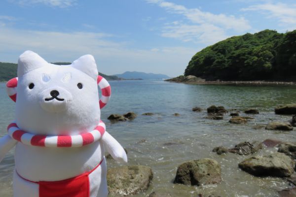 南九州の海