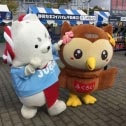 エコパ