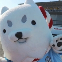 ジュビロ磐田メモリアルマラソン