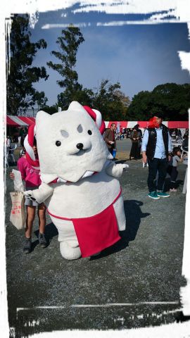 豊岡