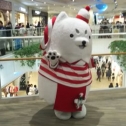 しつぺいを探せ