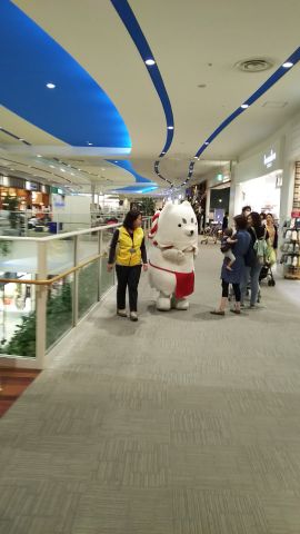 しつぺいの散歩