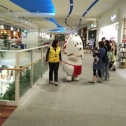 しつぺいの散歩