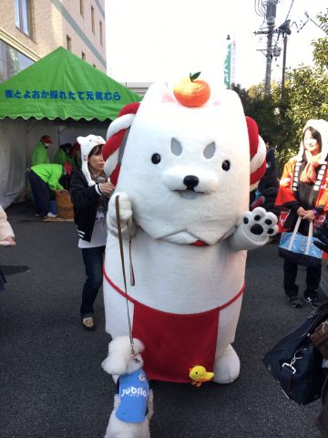 しっぺいとお散歩