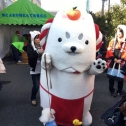 しっぺいとお散歩