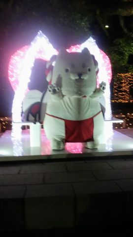 イルミネーション