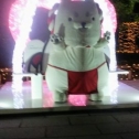 イルミネーション