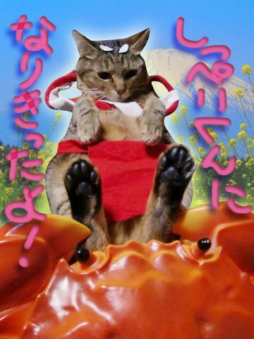 なりきったゾ～