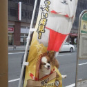 犬の散歩中に発見