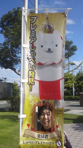 探しました！[17]