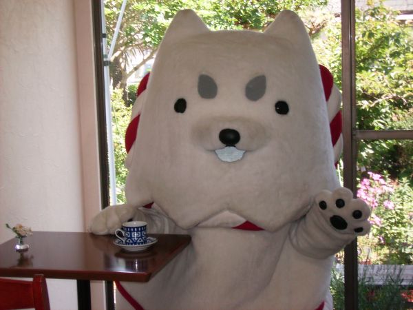 カフェきたがわさんにて