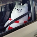 ボクもお出かけ