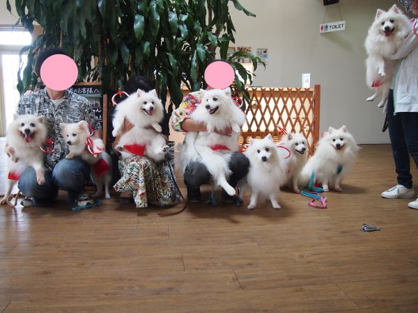 8匹のしっぺい パート2