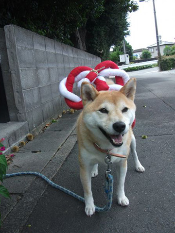 楽しいこと大好き!
