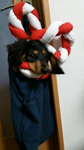 袋しっぺい