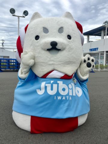 お座りしっぺいきゃわわ